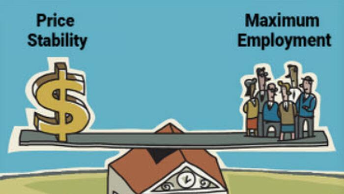 The Fed's 'Real' Dual Mandate - Vimarsana News