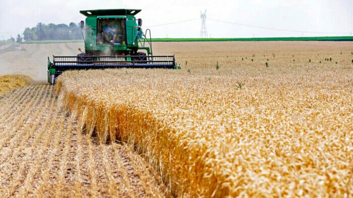 Analyst Warns World Has Just 'Ten Weeks' Of Wheat Supplies Left In Storage