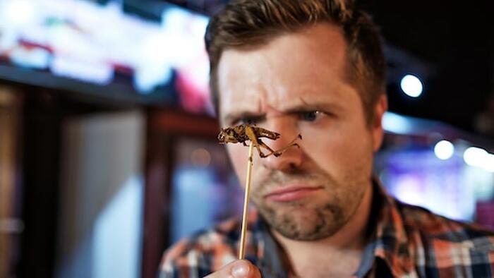 Let Them Eat Bugs... How Out-Of-Touch Elites Reveal Their Contempt, & What Comes Next - Vimarsana News