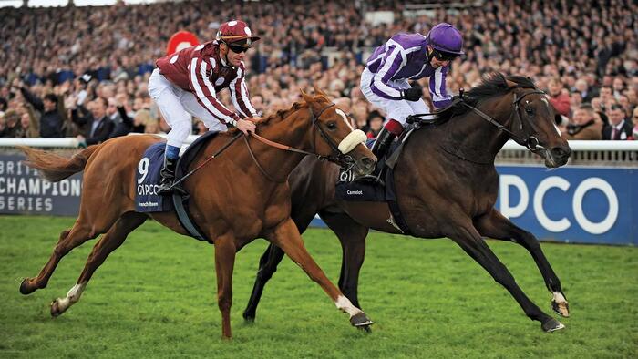 What Traders Can Learn From Professional Horse-Betting - Vimarsana News