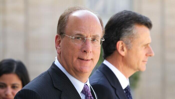 BlackRock Sells Out US Interests For 'Personal Favors' In China, Consumer Group Director Says - Vimarsana News