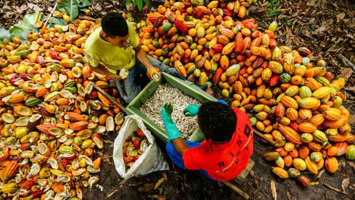 How Brazil Is Saving The World From A Catastrophic Food Crisis - Vimarsana News