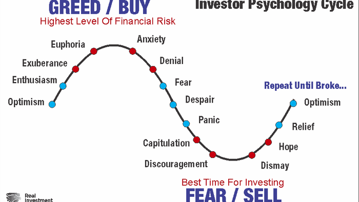 Investors Are Terrified, So Why Aren't They Selling - Vimarsana News