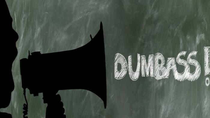 Ostentatious Stupidity - Vimarsana News