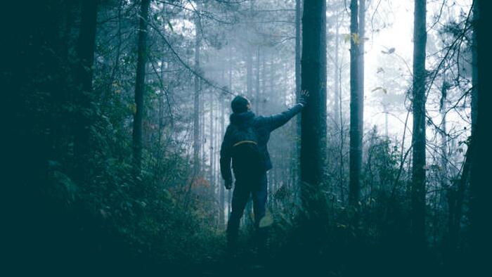 "Panic, Depression... Everyone Who Dies Out There Dies Of Confusion": A Market Of "Devastating Disorientation" - Vimarsana News