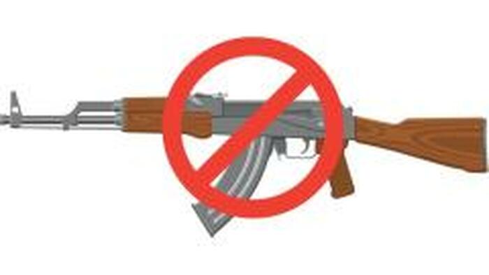 Politicizing Mass Shootings Only Guarantees There Will Be More Of Them - Vimarsana News