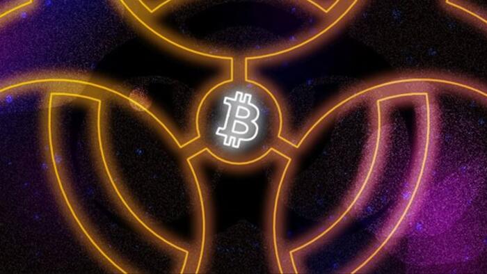 How We Should Really Think About Bitcoin Maximalism - Vimarsana News