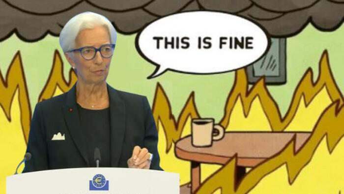 ECB Raising Rates Is Europe's Last Chance To Avoid Ground Zero - Vimarsana News