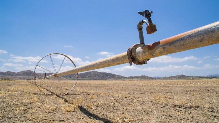 California's Farmland Rapidly Turns To Dust Amid Water Crisis