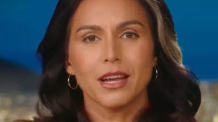Democrats Are "Coming After Middle-Class Hard-Working Americans" - Tulsi Gabbard Warns "Our Democracy Is In Grave Danger"