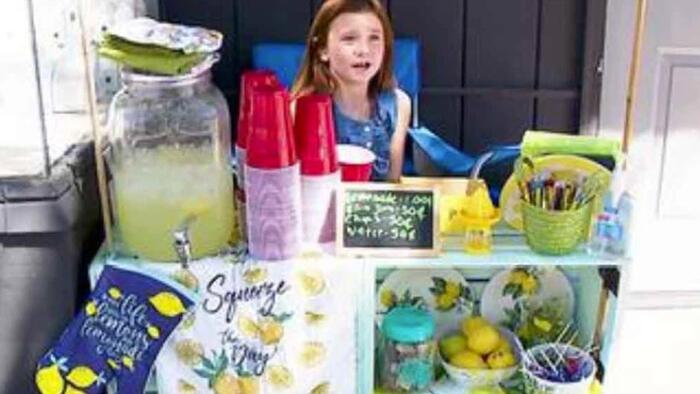 Cops Shut Down 8-Year-Old Girl's Lemonade Stand To Protect Society From Unlicensed Lemonade