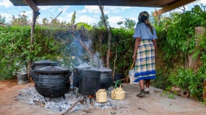 Africa Needs Conventional Fuels, Not Windmills And Solar Panels - Vimarsana News