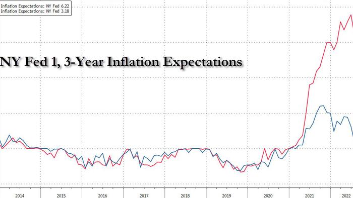 NY Fed Inflation Expectations Plunge Most On Record, But There Is A Catch...