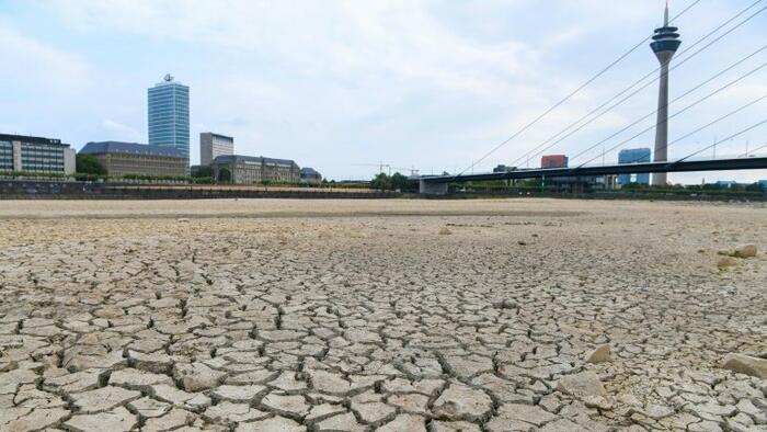 Europe's Rhine River At Dangerously Low Levels, Centimeters From Shipping Disruption - Vimarsana News