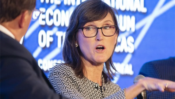 Cathie Wood Goes Wild On 'Dip Buying' Amid Stock Market Rout - Vimarsana News