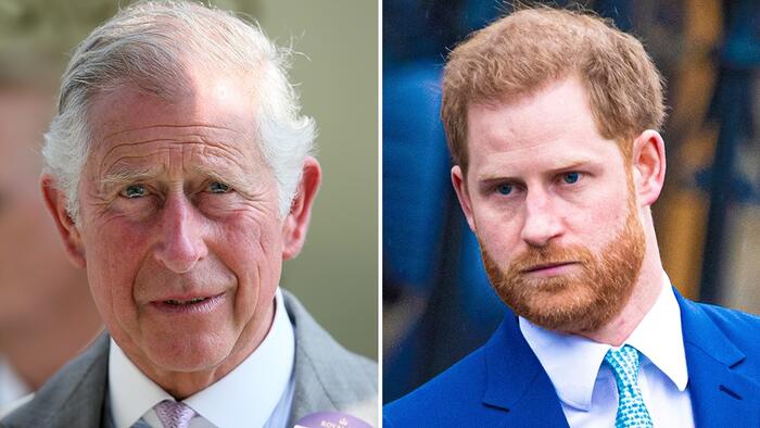 'Ruthless' King Charles To 'Permanently Exile' Prince Harry - Vimarsana News