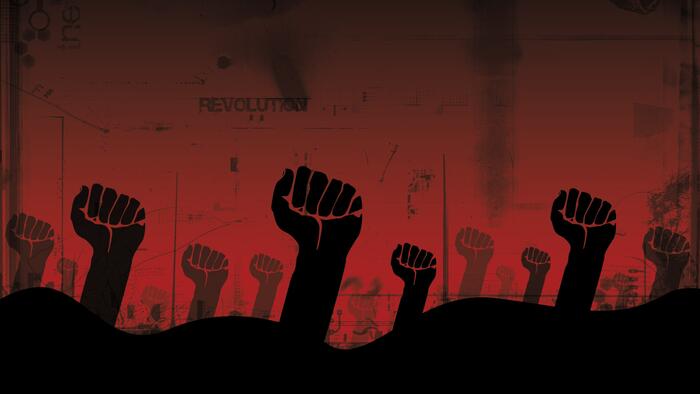 Whitehead: All The Ways In Which Our Rights Have Been Usurped