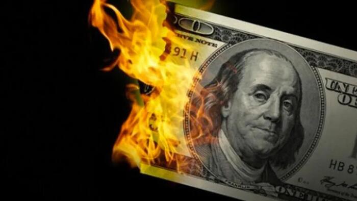Bear Traps' Highest Conviction Trade: A Perfect Storm Is About To Hammer The Dollar - Vimarsana News