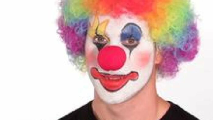 "What An Absolute Clown Show" - Vimarsana News