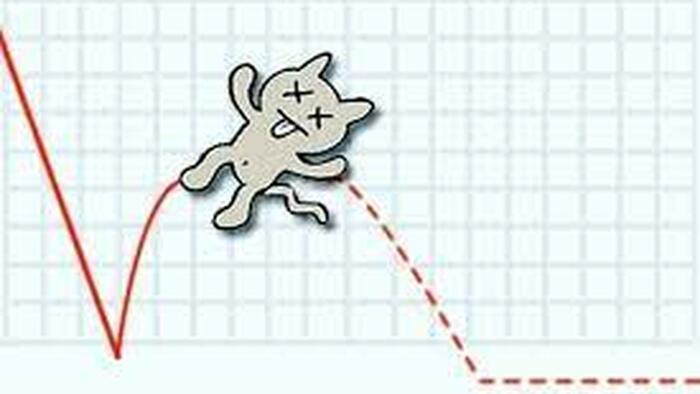 Blain: Forget The 'Dead Cat Bounce', It's All About Inflation & The Dollar - Vimarsana News