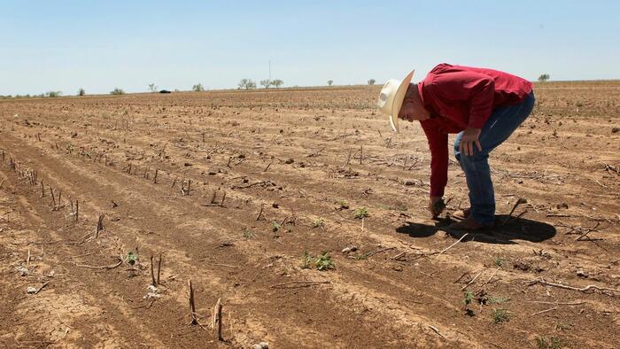UN Food Official Warns Fertilizer Affordability Crisis Could Slash Global Grain Production By 40%