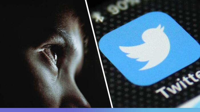 "We're Horrified": Major Brands Pull Twitter Ad Campaigns Over Child Porn - Vimarsana News
