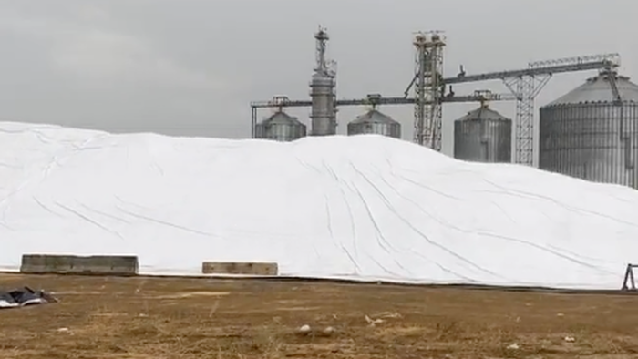 Massive Bean Piles Spotted Up And Down Mississippi River As Barges Can't Meet Harvest Demand - Vimarsana News