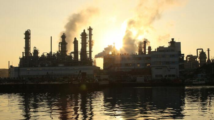 CEOs Cutting Back Or Pausing Their ESG Efforts: KPMG Study - Vimarsana News