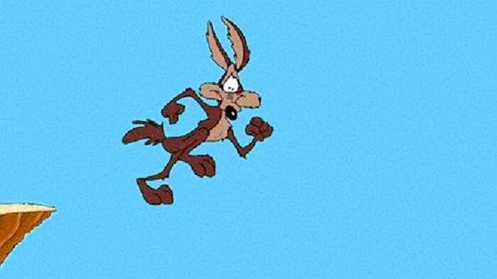 Even Wile E. Coyote Didn't Hurt Himself On Purpose - Vimarsana News