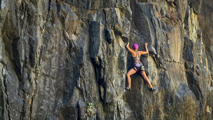 The Wall Of Worry Knows No Bounds - Vimarsana News