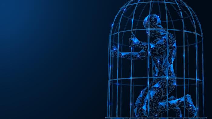 PayPal, Bail-Ins, & The Necessity For Trustless Money - Vimarsana News