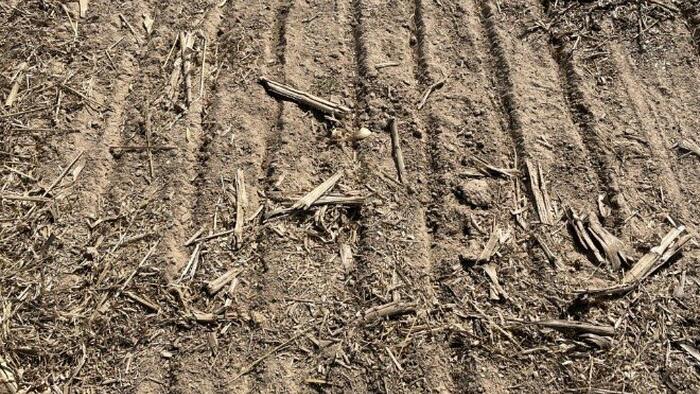 Record High: 75% Of US Winter Wheat Suffers From Drought - Vimarsana News