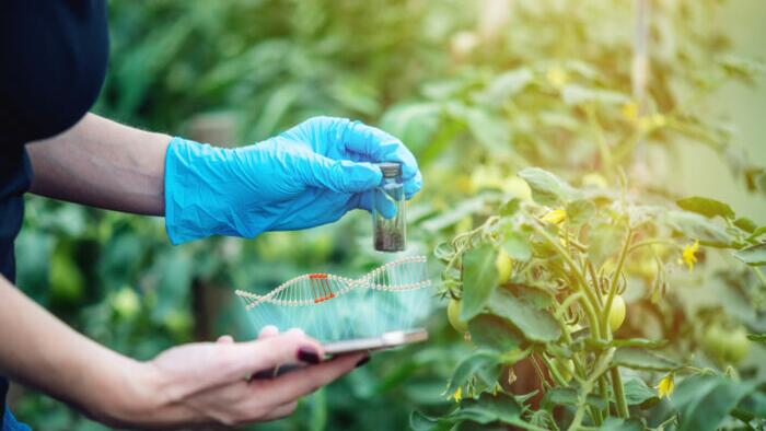 More Foods Will Be Gene-Edited Than You Think - Vimarsana News