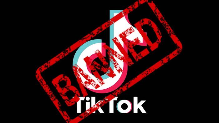 Meta, Snap Surge After FCC Boss Says US Should Ban TikTok - Vimarsana News