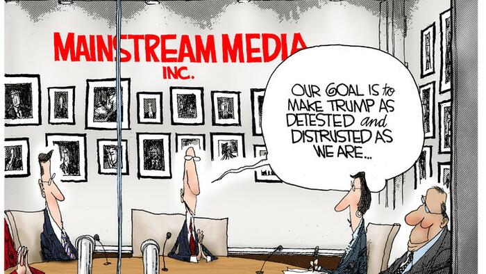 Dear Liberals, How Many Of These MSM Hoaxes Did You Fall For?