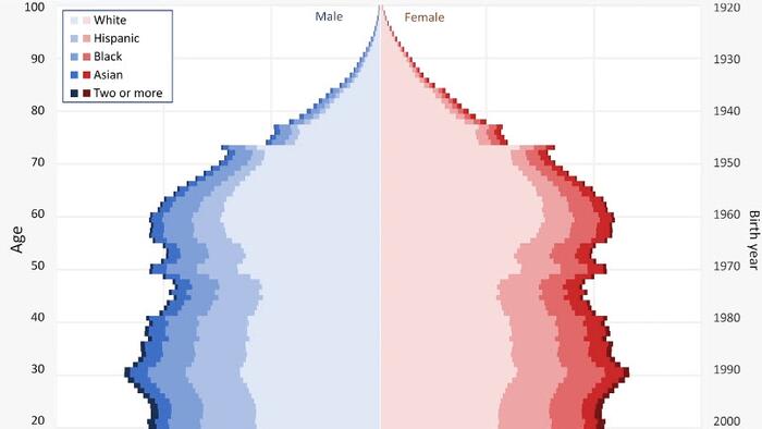 Visualizing America's Changing Demographics Over The Past 100 Years - Vimarsana News