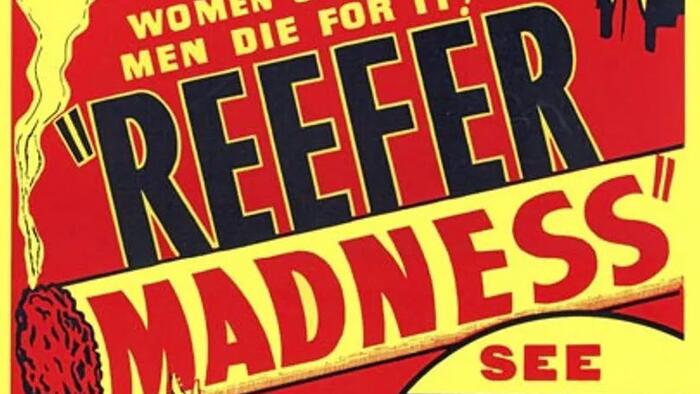 Reefer Madness: Demand For Illegal Pot Soars In California Due To High Taxes - Vimarsana News