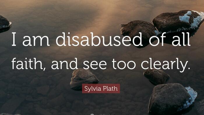 I Used To Be Disgusted, Now I'm Disabused - Vimarsana News