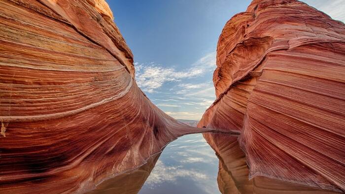 Why Is Booz Allen Renting Us Back Our Own National Parks? - Vimarsana News