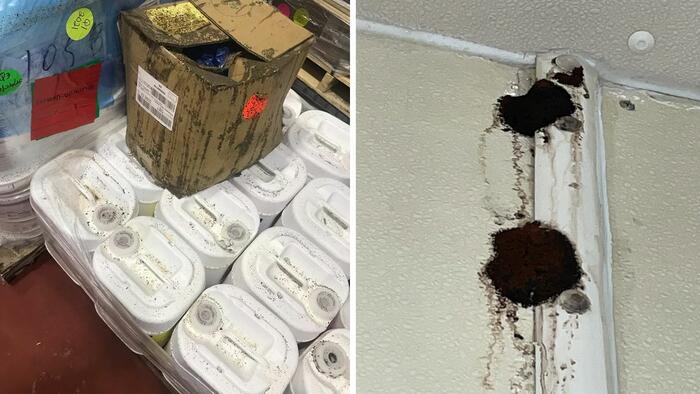 Beyond Disgusting: Former Beyond Meat Employee Shares Photos, Docs, That Appear To Show Mold, Dirty Conditions