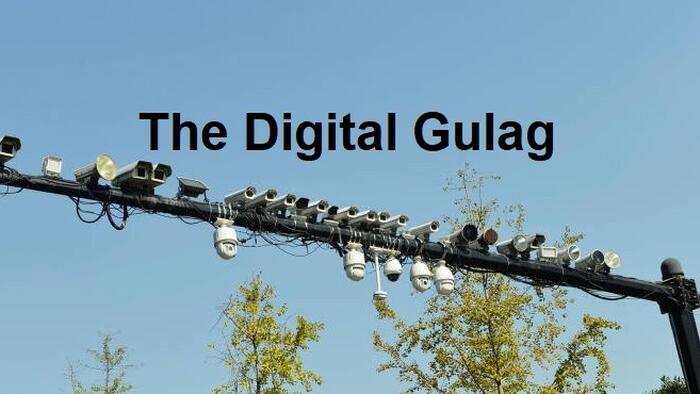 Notes From The Digital Gulag - Vimarsana News