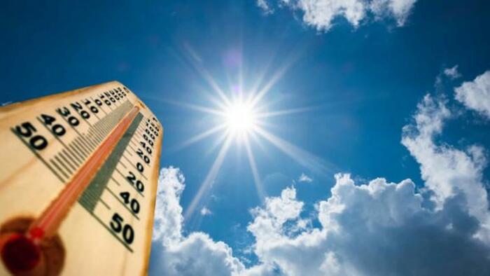 2022 Same Shit, Different Year: 55 Years Of Failed Eco-pocalyptic Predictions