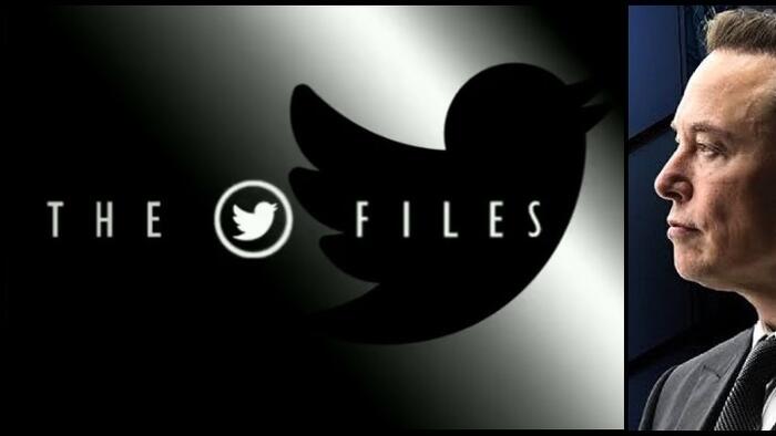 'Just A Few Rogue Actors' Behind Banning Of Trump From Twitter; Nothing To See Here... - Vimarsana News