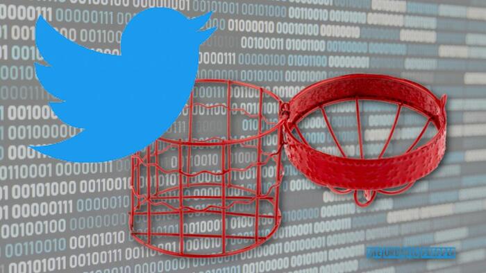 The Twitter Files Have Confirmed (Again) That Conspiracy Theorists Are Not Crazy - Vimarsana News