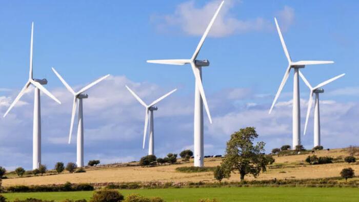Net Zero Will Lead To The End Of Modern Civilisation, Says Top Scientist