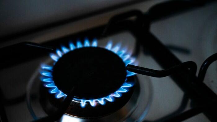 Lawmakers Warn Gas Stove Ban Would Eliminate Affordable Cooking Method - Vimarsana News