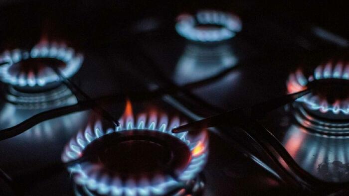 What Is The US "Gas Stove Ban" Really About? - Vimarsana News