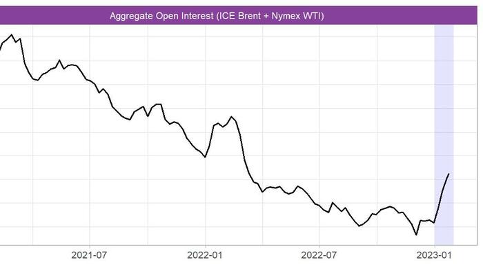 NextImg:Mixed Oil Momentum Signals To Persist Until Impact Of War Fades