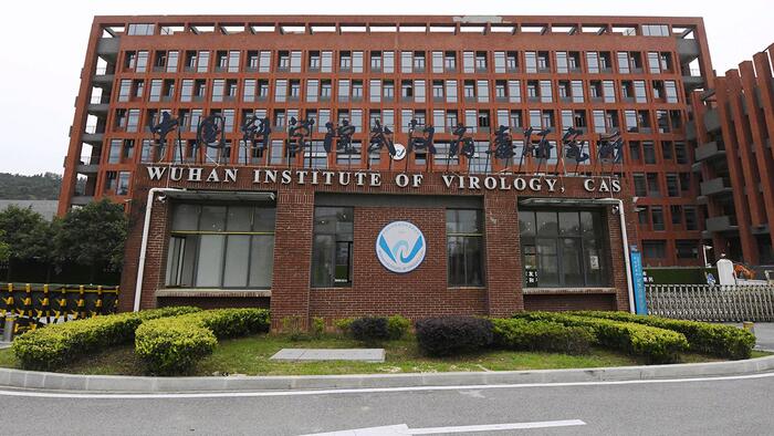 NextImg:NIH Failed To Monitor EcoHealth Alliance: Federal Watchdog