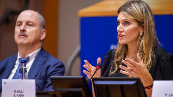NextImg:EU Corruption Scandal: Socialist MEP Lived "Lifestyle Of A Movie Star"
